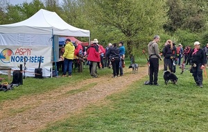 Archers de Montgeard. Concours 3D qualificatif au championnat de France individuel.