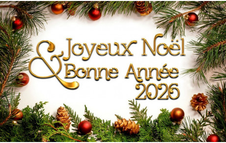 Les archers de Montgeard vous souhaitent de très bonnes fêtes de fin d'année.